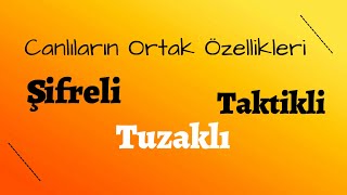 Canlıların Ortak Özellikleri TYT 2025 Anahtar Akademi [upl. by Odarbil131]