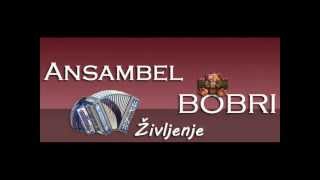 Ansambel Bobri  Življenje [upl. by Sokim]