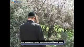 La Plegaria Personal  Rabino Shalom Arush [upl. by Harri]