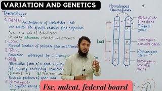 genes alleles and gene pool class 12 [upl. by Paza]