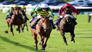 Annie Power’s first foal Mystical Power makes a winning start [upl. by Roel631]