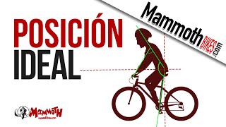 Cómo ajustar la bicicleta a nuestras medidas [upl. by Reagen]