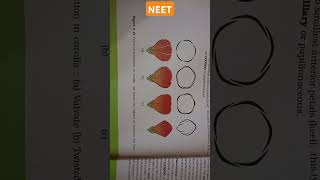 MORPHOLOGY OF FLOWERING PLANTS aestivation types corollaValvateTwisted ImbricateVexil neet [upl. by Clerk32]