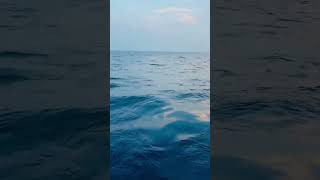 wahoo fishഅയക്കൂറ fishing Lakshadweep fishing lakshadweepislands fishingtechniques [upl. by Nacnud]