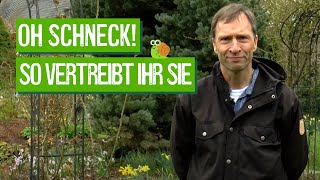 Pflanzen erfolgreich vor Schnecken schützen  Der Grüne Tipp kompakt [upl. by Laeahcim164]