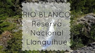 Reserva Nacional Llanquihue Chile  Rio Blanco [upl. by Edgard]