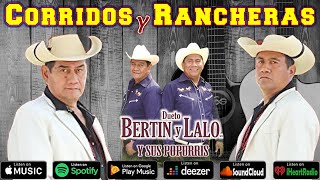 Dueto Bertin y Lalo 14 Sus Mejores Éxitos  Corridos y Rancheras [upl. by Giacinta]