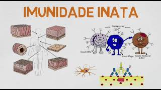 Imunologia Imunidade Inata e Adaptativa [upl. by Norrag834]