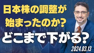 日本株の調整が始まったのか？どこまで下がる？ [upl. by Eunice]