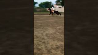 ghazi horse race shorts like sharesubscribe coment UGR TENT PEGGING [upl. by Ecinreb428]