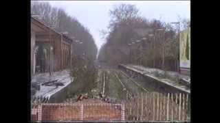 Network Southeast trains at Uckfield and Eridge 1993 [upl. by Berger]