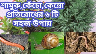 টবের মাটিতে শামুককেঁচোকেন্নো প্রতিরোধের ৬ টি সহজ উপায় [upl. by Nae]