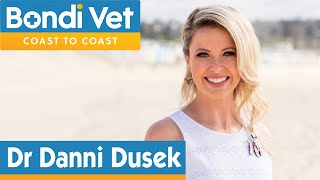 Meet New Bondi Vet  Danni Dusek [upl. by Aissej60]