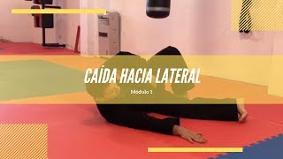 Hapkido tutorial  Caída lateral [upl. by Joelynn]