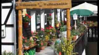 Urlaub im Oberharz im Waldgasthaus Wolfsbachmühle  90 GRAD die Band [upl. by Redna291]