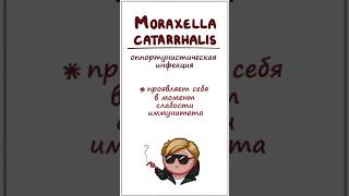 Инфекция уха и горла Moraxella Catarrhalis симптомы лечение часть 2 [upl. by Hull]