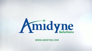 Introducing Amidyne Solutions  Who Are We [upl. by Essilec687]