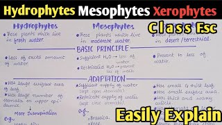 Osmoregulation In Plants Hydrophytes Mesophytes And Xerophytes  Class 12 Biology [upl. by Akili]