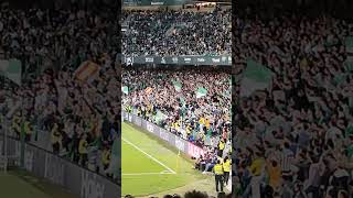 Impresionante afición bética apoyando al Betis en el partido contra el Atlético de Madrid 271024 [upl. by Anitroc]