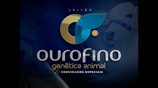 Lote 01 YESMINE OUROFINO OURO 3582 zap [upl. by Raffin]