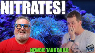 Managing NITRATE Levels In You Saltwater Aquarium  Newbie Tank Build [upl. by Ayotac]