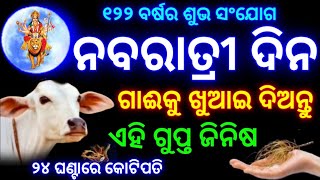 11 October ନବରାତ୍ରୀ ଦିନ ଗାଈକୁ ଖୁଆଇ ଦିଅନ୍ତୁ ଏହି ଜିନିଷ କୋଟିପତି ହେବେ  navratri 2024durgapuja2024odia [upl. by Atled]