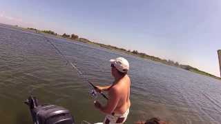 GoPro Catching a Cownose Stingray in NJ [upl. by Danice252]