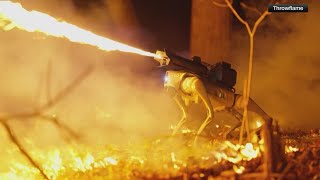 Flame throwing robot dog for now for sale [upl. by Corso]