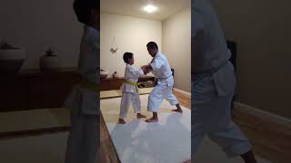 Push Hands Aikido Practice 7  Tai Chi Inspired Body Awareness amp Balance Exercises with Renta [upl. by Miquela]