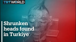 Shrunken heads found in smugglers raid in Turkiye [upl. by Lemuela]