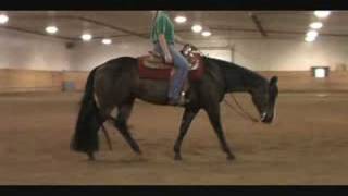 SOLD  All Around AQHA Gelding [upl. by Isied]