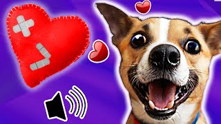 ❤️ Los 7 SONIDOS Para Perros que más AMAN ❤️ [upl. by Leahcimluap]