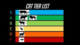 The Cat Tier List [upl. by Johannah140]