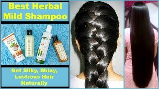 Best HERBAL amp MILD Shampoos  Natural amp Chemical Free [upl. by Collie]