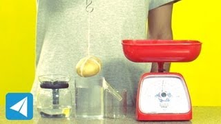 Archimedes Principle demonstration  Buoyancy  Physics [upl. by Len]