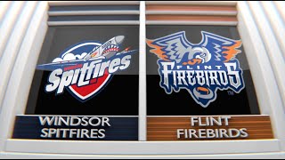 Preseason Highlights  Flint Firebirds vs Windsor Spitfires 9824 [upl. by Yadnus]