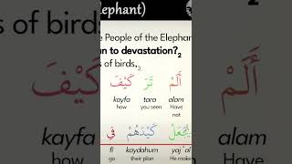 QURAN Chapter 105 AlFil Elephant MODERN English Translation amp Transliteration [upl. by Berardo]