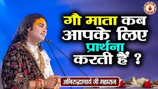 गौ माता कब आपके लिए प्रार्थना करती है  Aniruddhacharya Ji Maharaj  Sanatan Vachan  Pravachan [upl. by Amikehs]