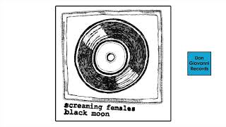 Screaming Females  quotBlack Moonquot [upl. by Eixid43]