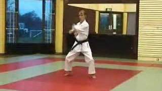 Wado Ryu Karate Kata Wanshu [upl. by Lamiv883]