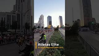 XVI Medio Maratón CDMX 2023 Salida Elite Short [upl. by Daeriam]