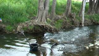 Gold prospecting Nundle [upl. by Hsirrehc]