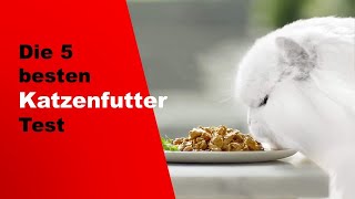 ✅ Top 5 besten Katzenfutter Test 2024 Vor dem Kauf ansehen [upl. by Fransis]