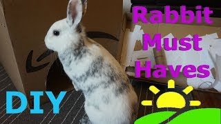 3 Easy DIY Items Your RABBIT Needs Right Now [upl. by Brandwein]