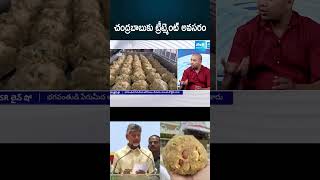 చంద్రబాబుకు ట్రీట్మెంట్ అవసరం ksrliveshow tirupatiladdu chandrababu ytshorts SakshiTV [upl. by Nilad]