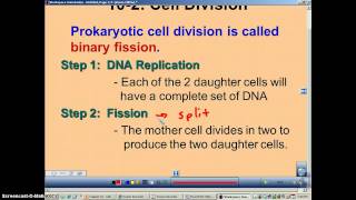 Chapter 10 Podcast 2 Prokaryotic Cell Division [upl. by Janicki439]