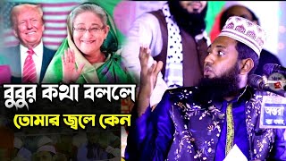 হাসিনার কথা বললেই তোমার জ্বলে  Mufti Abu Bakr Siddiq  মুফতি আবু বক্কর সিদ্দিকী সালেহী  waz2024 [upl. by Inwat99]