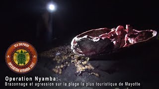 Opération Nyamba Braconnage et agression sur la plage la plus touristique de Mayotte [upl. by Adaminah373]