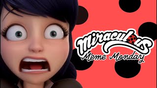 Miraculous Monday Meme Review 44 🐞 [upl. by Anitirhc]