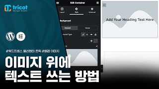 워드프레스 엘리멘터 이미지 위에 텍스트 쓰는 방법 풀 스크린 효과 적용 방법까지 [upl. by Nnylf]